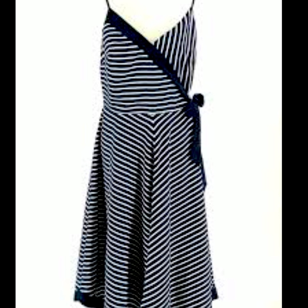 Banana Republic Navy Striped Dress
